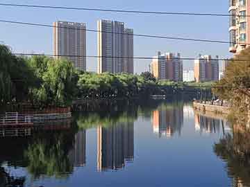 鐵算盤網(wǎng)，快速開獎與精準(zhǔn)圖片資訊的完美結(jié)合，鐵算盤網(wǎng)，快速開獎與圖片資訊的完美結(jié)合