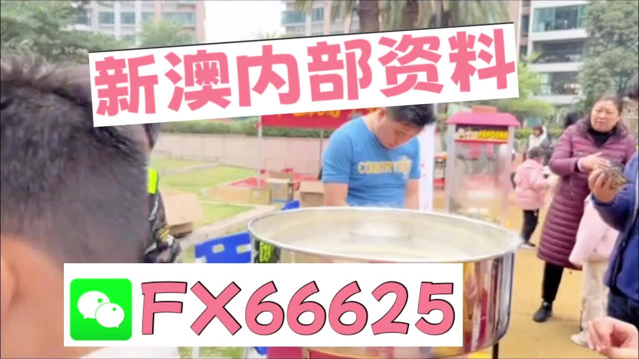 新奧2025正版資料大全，全面解析與深度探索，新奧2025正版資料大全，全面解析與深度探索揭秘