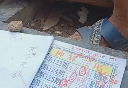 香港中特期期準(zhǔn)資料，深度解析與探索，香港中特期期準(zhǔn)資料深度解析與探索報(bào)告
