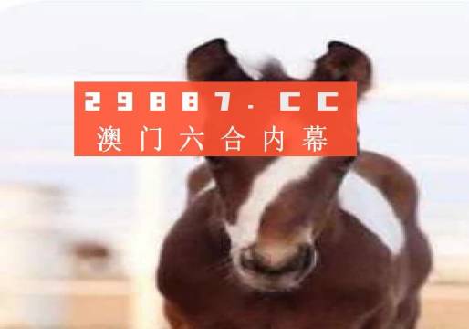澳門一肖一碼狀元紅，揭秘彩票背后的秘密與策略，澳門彩票揭秘，狀元紅背后的秘密與策略解析