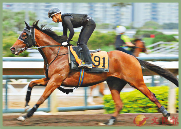 香港賽馬，探索數(shù)字背后的激情與榮耀，香港賽馬，數(shù)字背后的激情與榮耀之旅