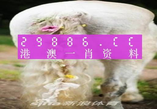 澳門羊了個(gè)羊與各大圖庫(kù)的資料揭秘，2023年澳門今晚必中一肖一碼永久免費(fèi)資料庫(kù)大解密，澳門羊了個(gè)羊與資料庫(kù)揭秘，2023年必中一肖一碼永久免費(fèi)資料大解密