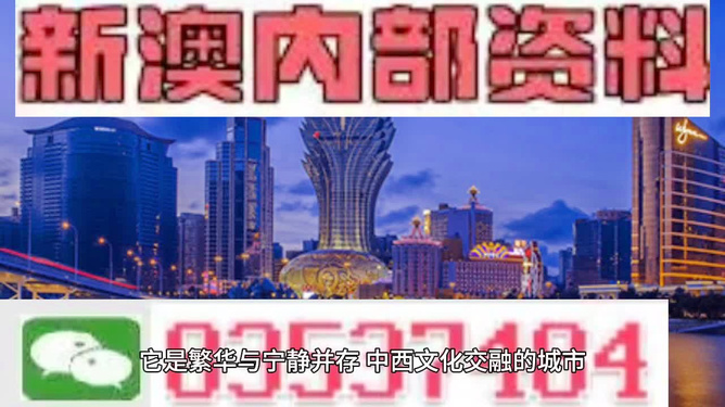 新澳王中王100%的資料詳解，新澳王中王100%資料詳解概覽