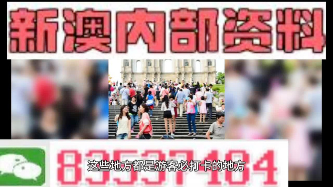 新澳天天開獎資料大全旅游團——探索澳門的魅力之旅，澳門魅力探索之旅，新澳天天開獎資料大全旅游團