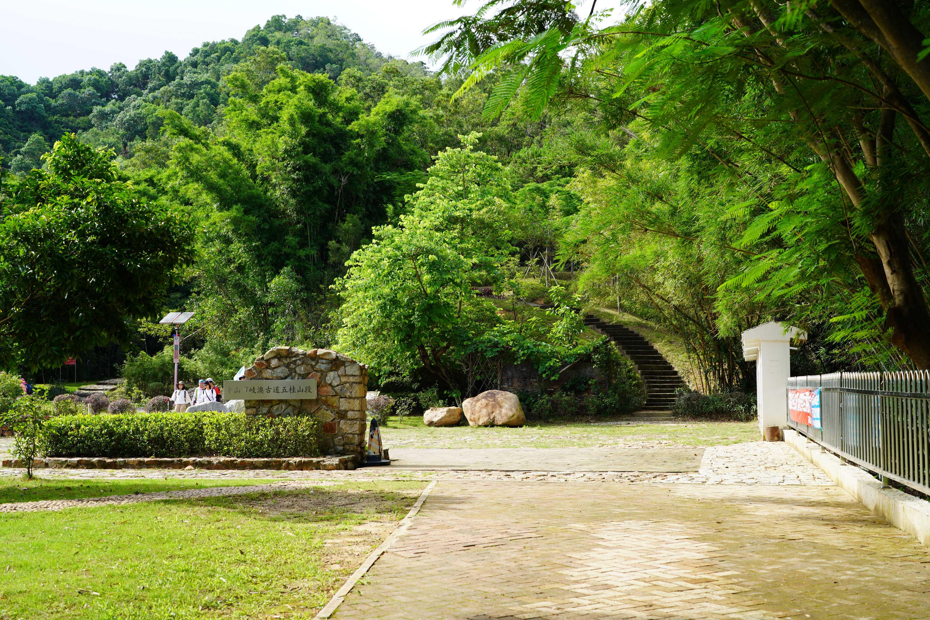 新澳門彩生肖走勢(shì)圖，探索與解讀彩票背后的秘密，探索解讀新澳門彩生肖走勢(shì)圖，彩票背后的秘密揭秘