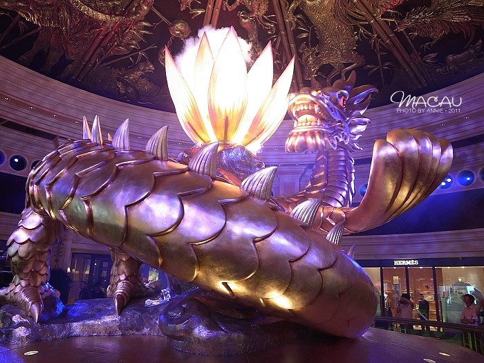 澳門無錯(cuò)七尾，探索與解析，澳門無錯(cuò)七尾，深度探索與解析
