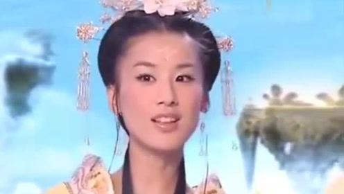 曾道道人資料免費(fèi)大全，深度探索與解析，曾道道人資料深度解析與免費(fèi)大全探索