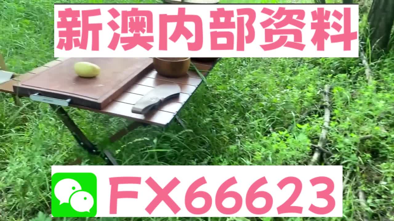 新奧特碼走勢(shì)圖解析與預(yù)測(cè)，新奧特碼走勢(shì)圖解析與預(yù)測(cè)，未來趨勢(shì)探討
