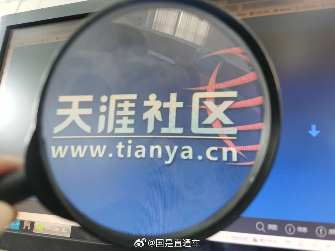 天涯國際觀察，全球視野下的深度分析與洞察，全球深度洞察，天涯國際觀察分析