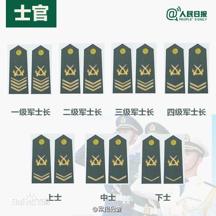 全球各國(guó)軍士長(zhǎng)軍銜對(duì)照表及其重要性，全球各國(guó)軍士長(zhǎng)軍銜對(duì)照表，揭示其重要性