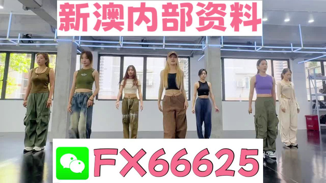 新澳持碼會資料詳解，新澳持碼會資料全面解析