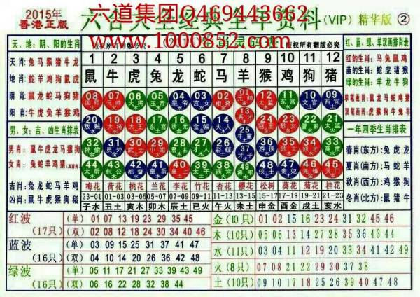揭秘2024十二生肖49碼表——完整指南，揭秘十二生肖49碼表全攻略，2024年最新版指南