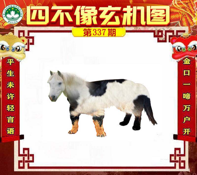 王中王四不像肖一肖中特，探索神秘現(xiàn)象背后的真相，神秘現(xiàn)象背后的真相探索，王中王四不像肖一肖中特揭秘