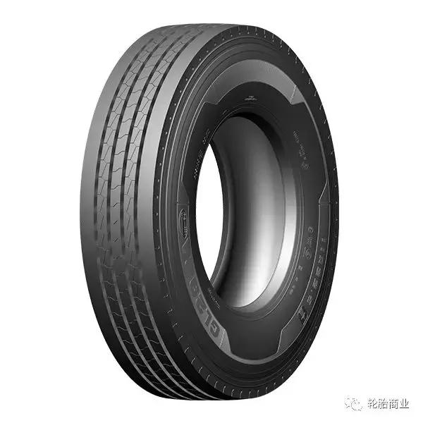 王中王295期指一生肖，揭秘生肖運勢與預(yù)測背后的秘密，揭秘生肖運勢預(yù)測，王中王295期生肖運勢背后的秘密探索
