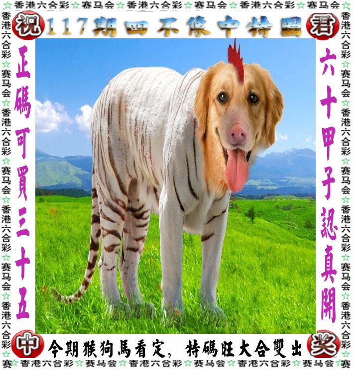 王中王四不像一肖論壇，探索神秘論壇的世界，王中王四不像一肖論壇，神秘論壇世界的探索之旅