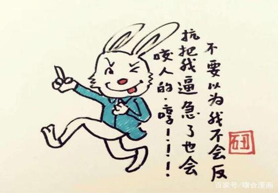 一肖不中賠多少倍，深度解析與策略建議，一肖不中賠倍深度解析及策略建議