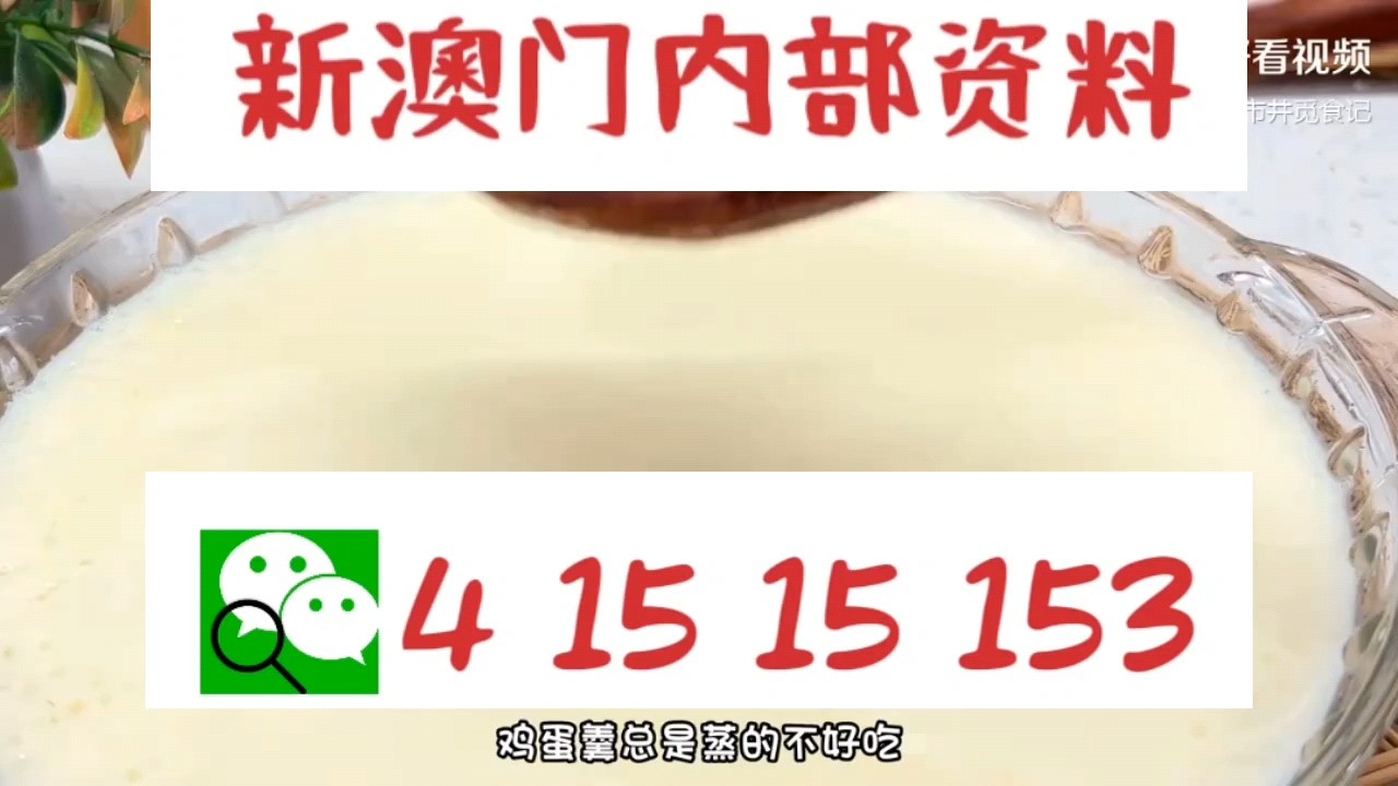 最快新澳門開獎直播，實時掌握開獎信息，體驗極速互動，新澳門實時開獎直播，極速掌握開獎信息，互動體驗盡在指尖