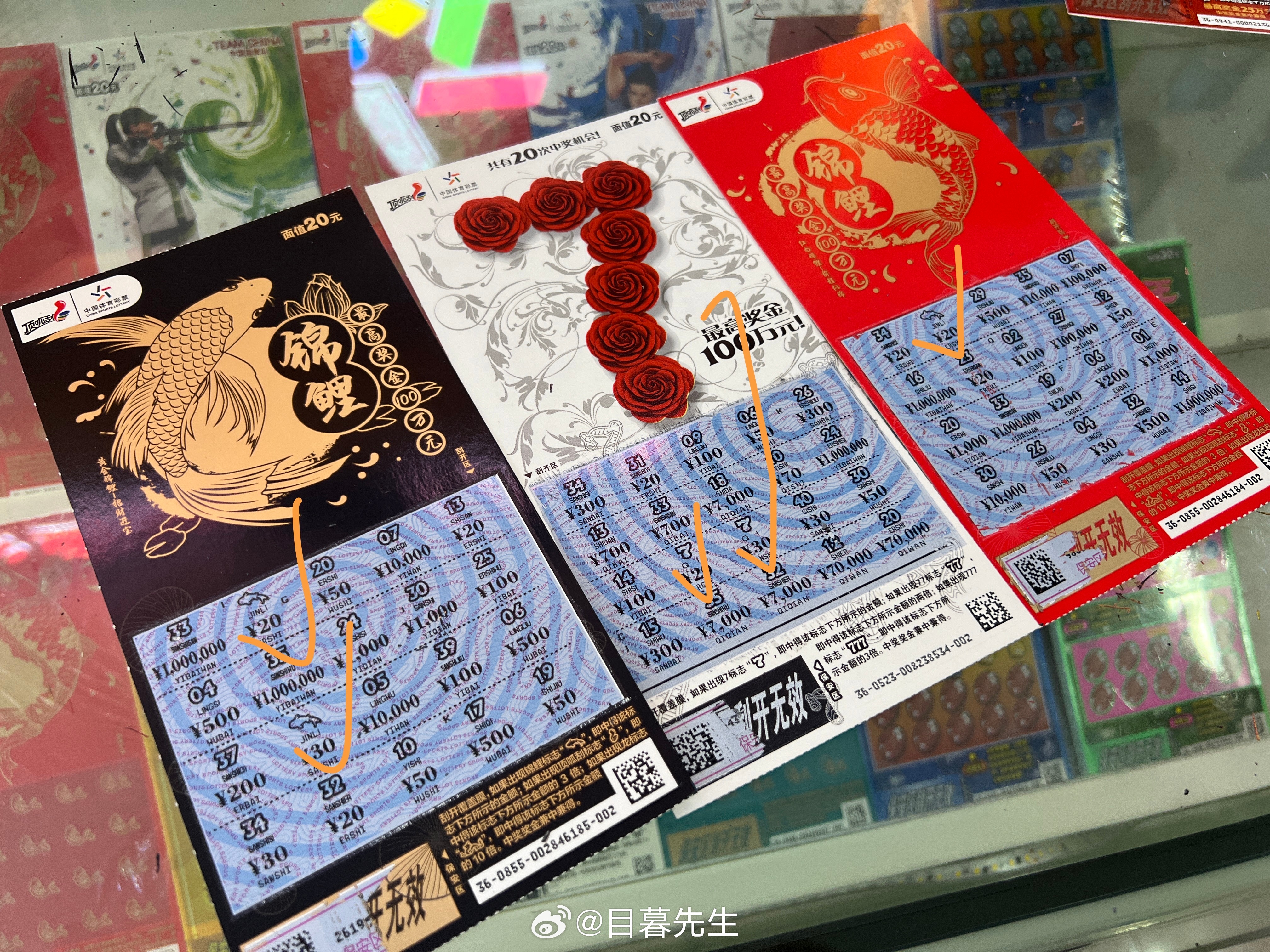 全年王中王一肖中特，深度解析與預(yù)測，全年王中王一肖深度解析與預(yù)測，揭秘特肖趨勢