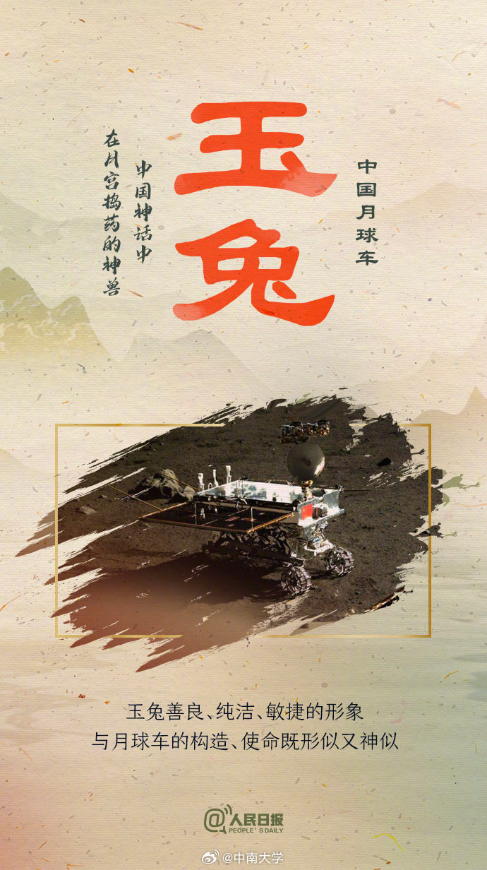 揭秘王中王平特一肖免會(huì)公開的奧秘，王中王平特一肖免公開揭秘奧秘