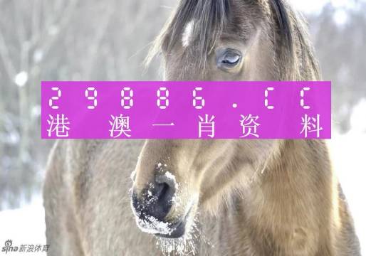 澳門一肖一碼背后的故事，一個關于精準預測與傳奇的揭秘，澳門一肖一碼傳奇背后的精準預測與揭秘之旅