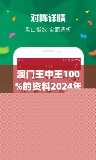 王中王網(wǎng)站一肖，探索與SEO優(yōu)化策略，王中王網(wǎng)站一肖，深度探索與SEO優(yōu)化策略實(shí)踐