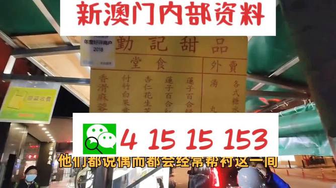 新澳門單雙肖期期，探索與解析，澳門單雙肖期期探索與解析指南