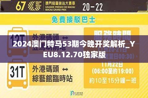 澳門今晚活動(dòng)盛宴，探索2025年的精彩活動(dòng)，澳門今晚盛宴活動(dòng)，探索未來精彩活動(dòng)，展望2025年風(fēng)采