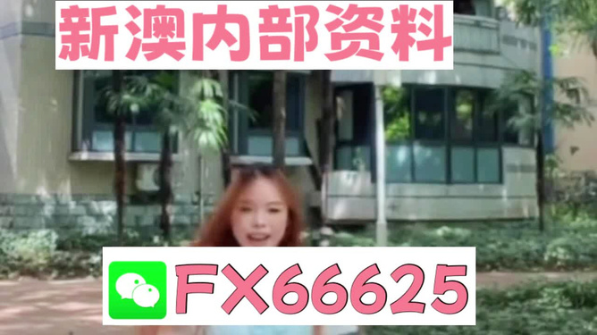 香港內(nèi)部精準(zhǔn)資料一碼，揭秘與深度解析，香港內(nèi)部精準(zhǔn)資料一碼揭秘與深度剖析