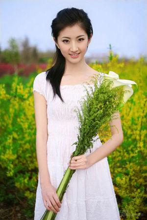 新澳門生肖走勢圖精準(zhǔn)版，解讀與SEO策略，新澳門生肖走勢圖精準(zhǔn)解讀與SEO策略揭秘