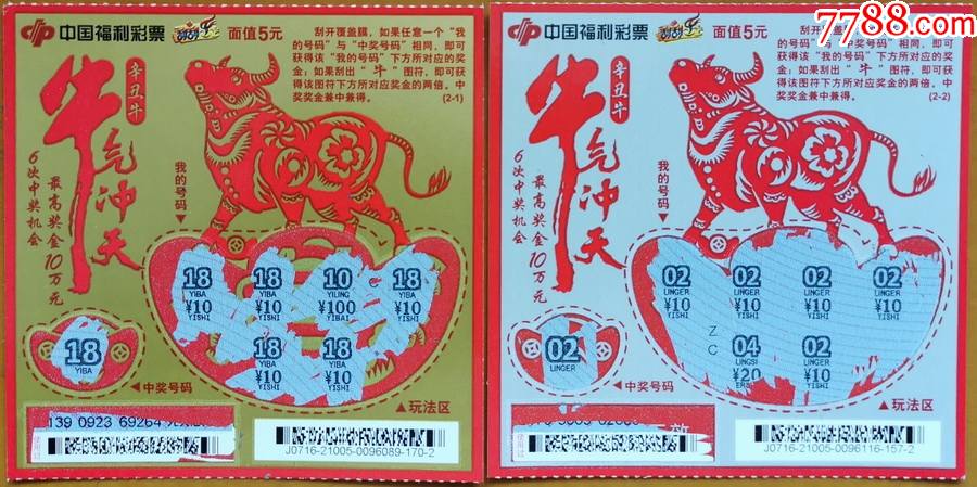 王中王19期指一生肖——探尋背后的奧秘與意義，王中王19期指一生肖，背后的奧秘與意義探尋