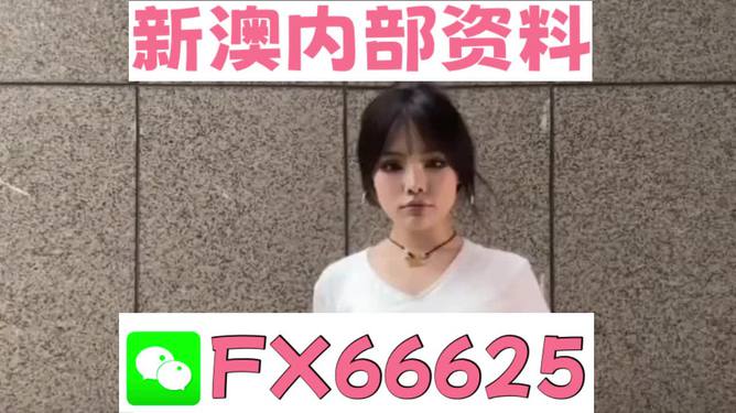 澳門正版資料大全完整版，探索與揭秘2025年澳門正版資料的世界，澳門正版資料大全揭秘，探索未來(lái)至2025年的奧秘世界
