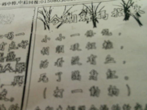 揭秘劉伯溫四肖選一肖的神秘預測藝術，劉伯溫四肖選一肖的神秘預測藝術揭秘