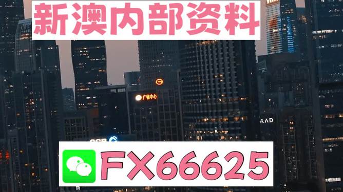 今期澳門跑狗圖——深度解析與探索，澳門跑狗圖深度解析與探索揭秘