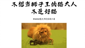 王中王013期指一生肖——探尋背后的秘密與奧秘，王中王013期生肖揭秘，探尋背后的秘密與奧秘之旅