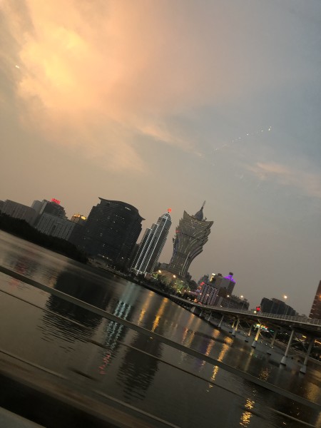 澳門今晚必開一肖一特，深度解析與預測，澳門今晚生肖特碼深度解析與預測，一肖一特必開趨勢探討