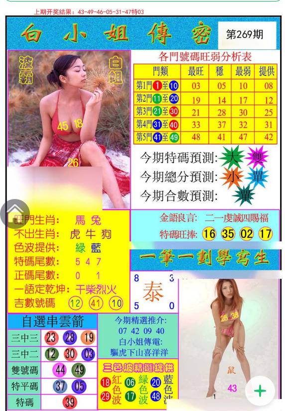揭秘白小姐與王中王平持一肖的神秘面紗，白小姐與王中王，揭秘神秘生肖預(yù)測面紗