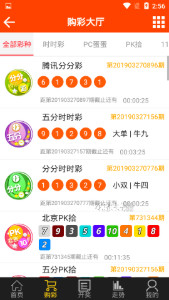 探索域名www王中王平特一肖c.m背后的故事，揭秘域名www王中王平特一肖c.m背后的故事