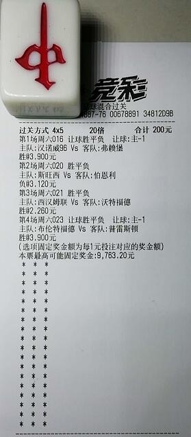 揭秘買(mǎi)一肖中獎(jiǎng)的賠率與風(fēng)險(xiǎn)，你真的準(zhǔn)備好了嗎？，揭秘買(mǎi)一肖中獎(jiǎng)背后的賠率與風(fēng)險(xiǎn)，你真的做好準(zhǔn)備了嗎？