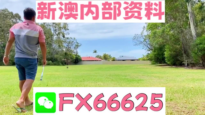 王中王兩肖一碼，揭秘背后的奧秘，王中王兩肖一碼揭秘，背后的秘密與奧秘