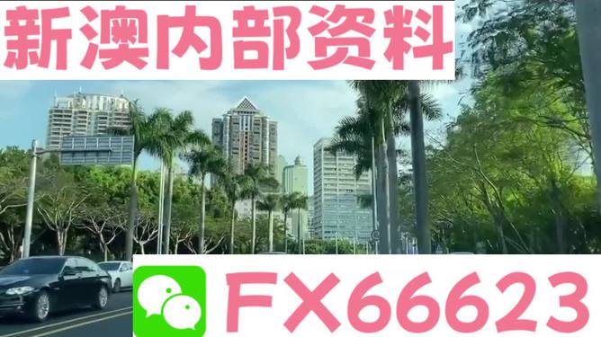 新澳精準(zhǔn)資料免費提供，探索第221期的奧秘與價值，新澳精準(zhǔn)資料揭秘第221期奧秘與價值