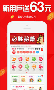 王中王013指一生肖——探尋背后的神秘與奧秘，王中王013指一生肖，背后的神秘奧秘探尋