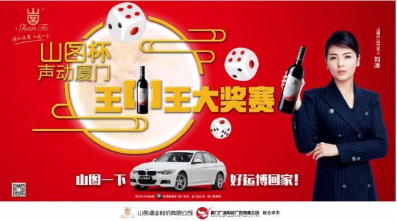 揭秘王中王背后的故事，從肖中的視角看其在SEO領(lǐng)域的輝煌成就，肖中視角下的王中王，SEO領(lǐng)域的輝煌成就揭秘