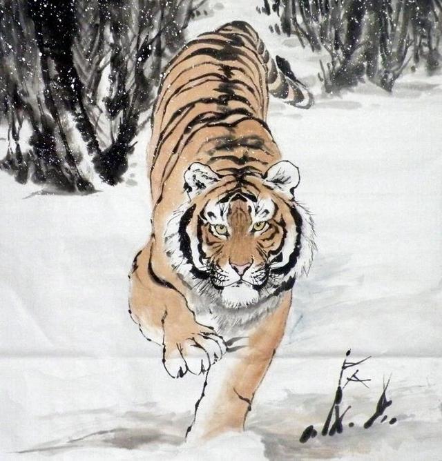 猛虎下山王中王，揭秘一生肖的神秘魅力，揭秘生肖之王——猛虎下山之神秘魅力