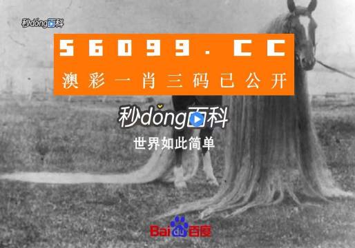 澳門一肖一碼一必中一肖舟山，揭秘彩票秘密，掌握幸運之鑰，揭秘彩票秘密，澳門一肖一碼必中秘籍與幸運之鑰在舟山開啟