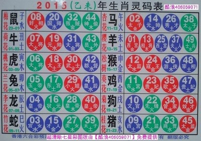 揭秘2025十二生肖與數(shù)字彩票的神奇聯(lián)系——49碼表全解析，揭秘十二生肖與數(shù)字彩票的神秘聯(lián)系，2025年49碼表深度解析