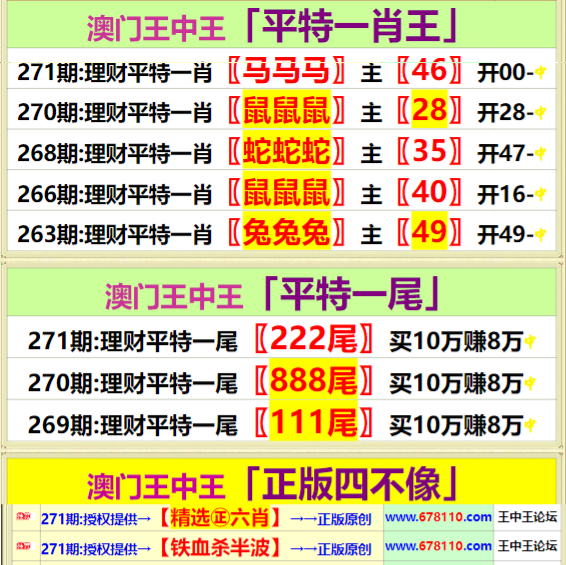 王中王開獎一馬中特二肖，探索彩票奧秘與策略，彩票奧秘探索，王中王開獎與一馬中特二肖的策略分析