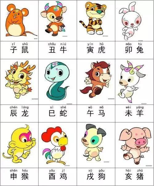 一肖有哪幾個生肖，生肖一肖包含哪些生肖
