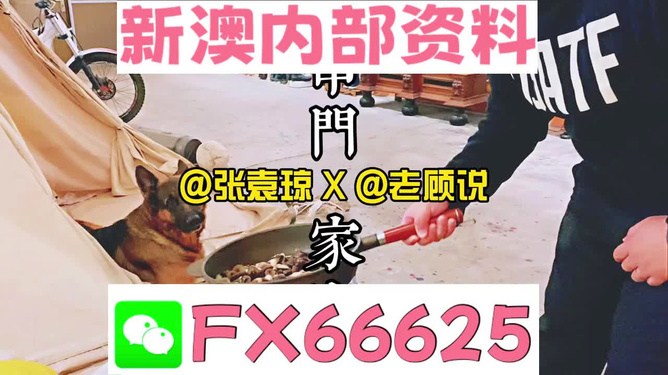 新澳門精準(zhǔn)資料大全，管家婆料解析與探索，澳門精準(zhǔn)資料大全，管家婆料解析與深度探索