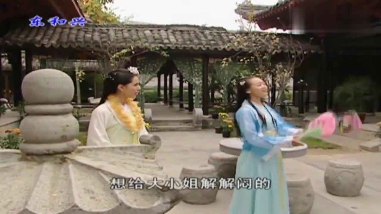 劉伯溫白小姐一肖期期準(zhǔn)，神秘預(yù)測背后的真相，劉伯溫白小姐生肖預(yù)測揭秘，神秘預(yù)測背后的真相