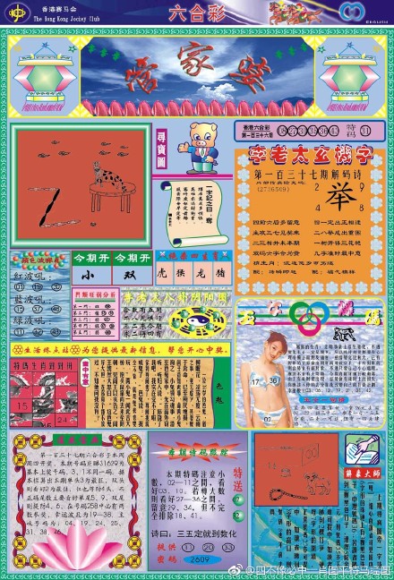 揭秘66O678王中王定碼四不像一肖，神秘數(shù)字背后的故事，揭秘神秘數(shù)字背后的故事，揭秘66O678王中王定碼四不像一肖的傳說